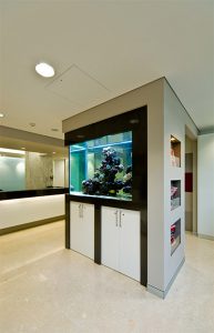 Orthodontist