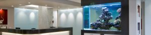 Orthodontist